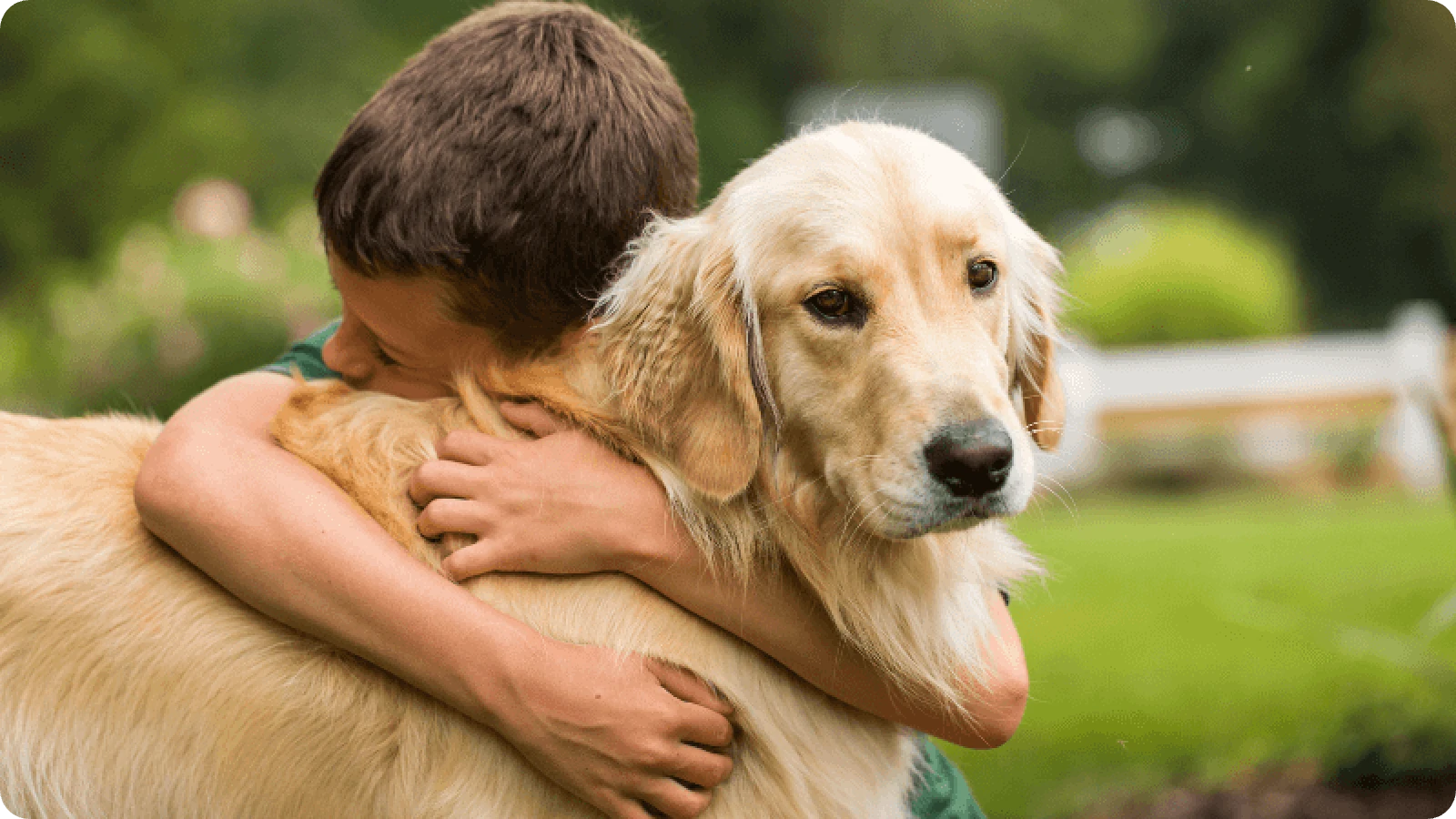 Golden Retriever with family